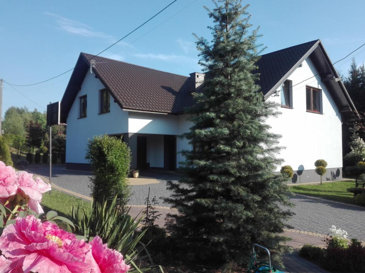 Apartament Leszczynowa 7 Blisko Zatora Spytkowice  Exteriér fotografie